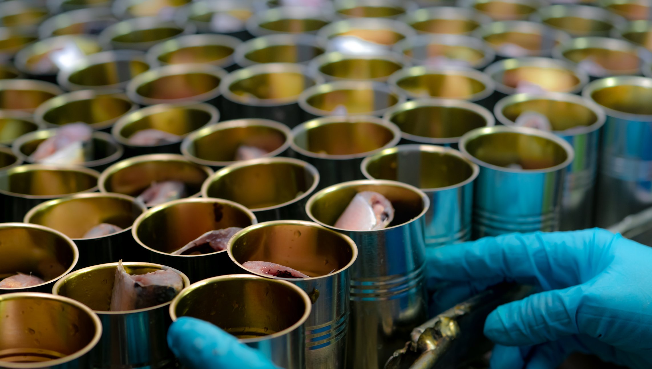 Сертификация упаковки для пищевых продуктов. Безопасность пищевых продуктов