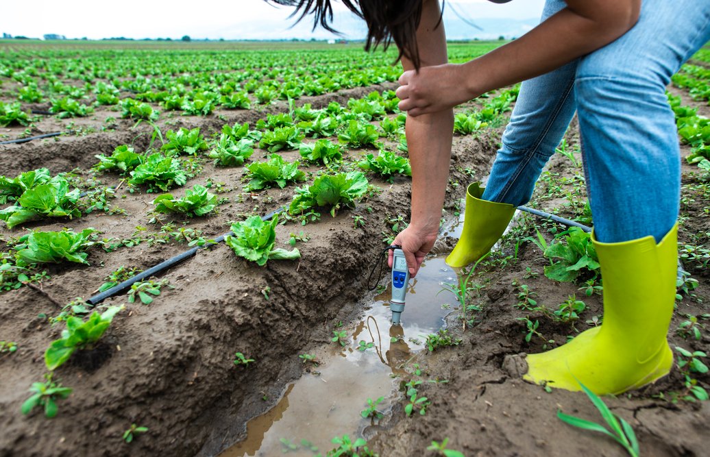 Проверить поверку средства измерения