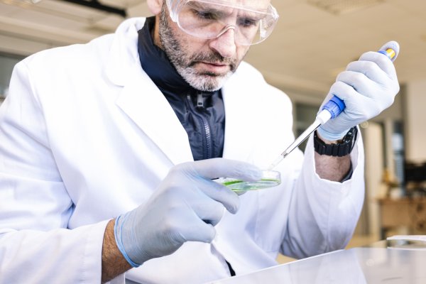 Какие средства измерений подлежат поверке