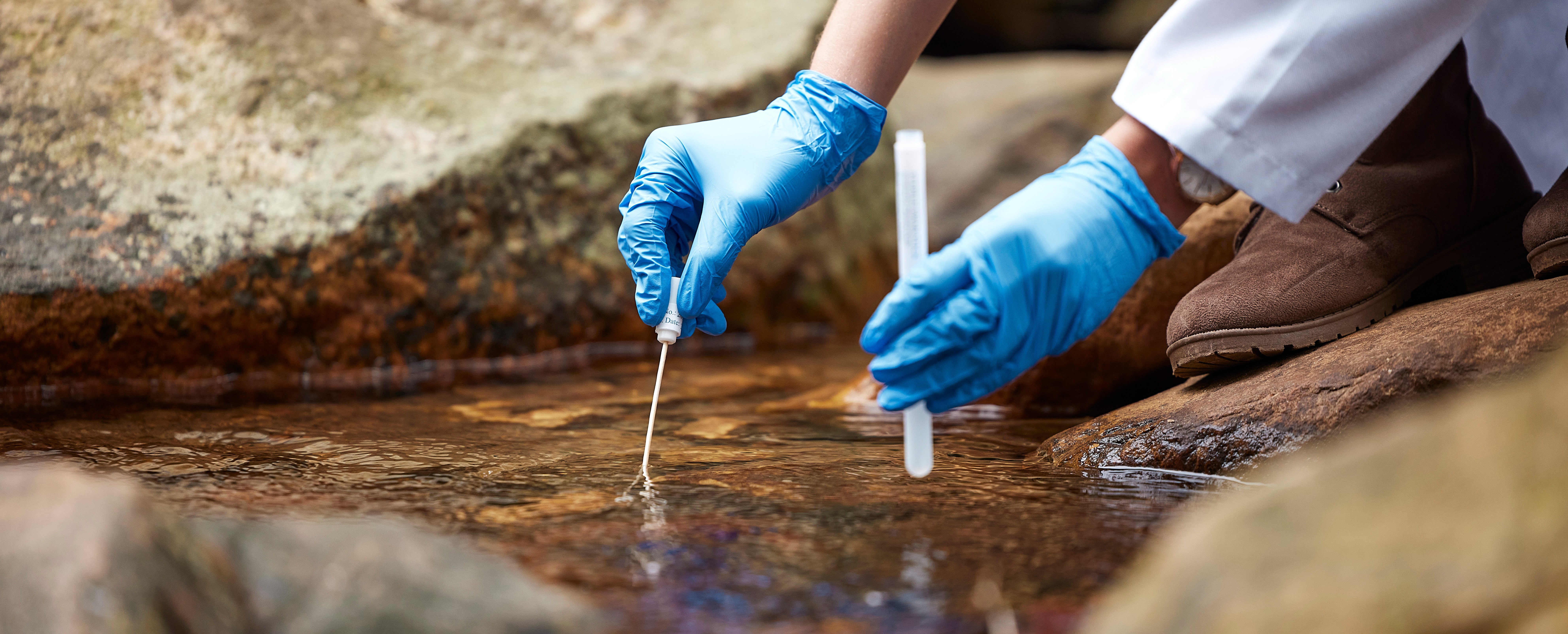 Экологическая экспертиза и порядок ее проведения