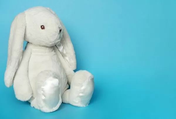 Как получить сертификат на мягкие игрушки Как получить сертификат на мягкие игрушки